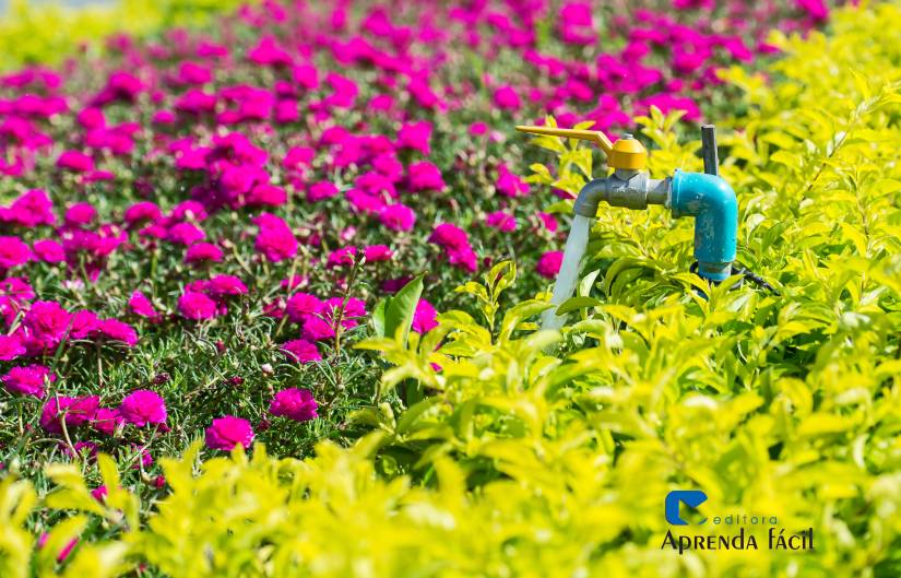 como montar irrigacao garrafa pet jardim vertical