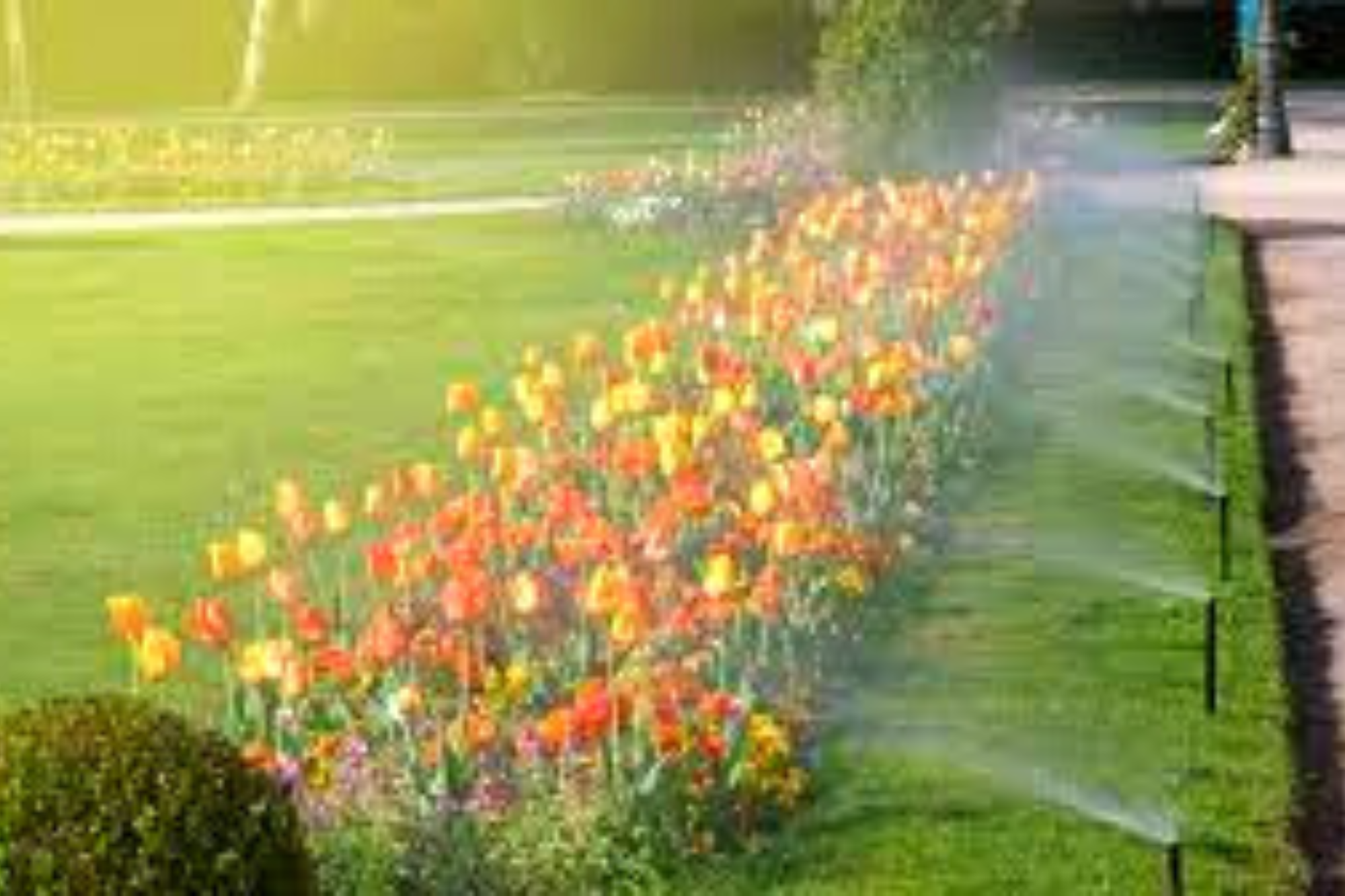 problemas comuns irrigacao jardim pequeno