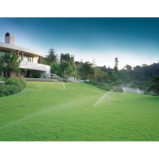 problemas comuns irrigacao jardim pequeno