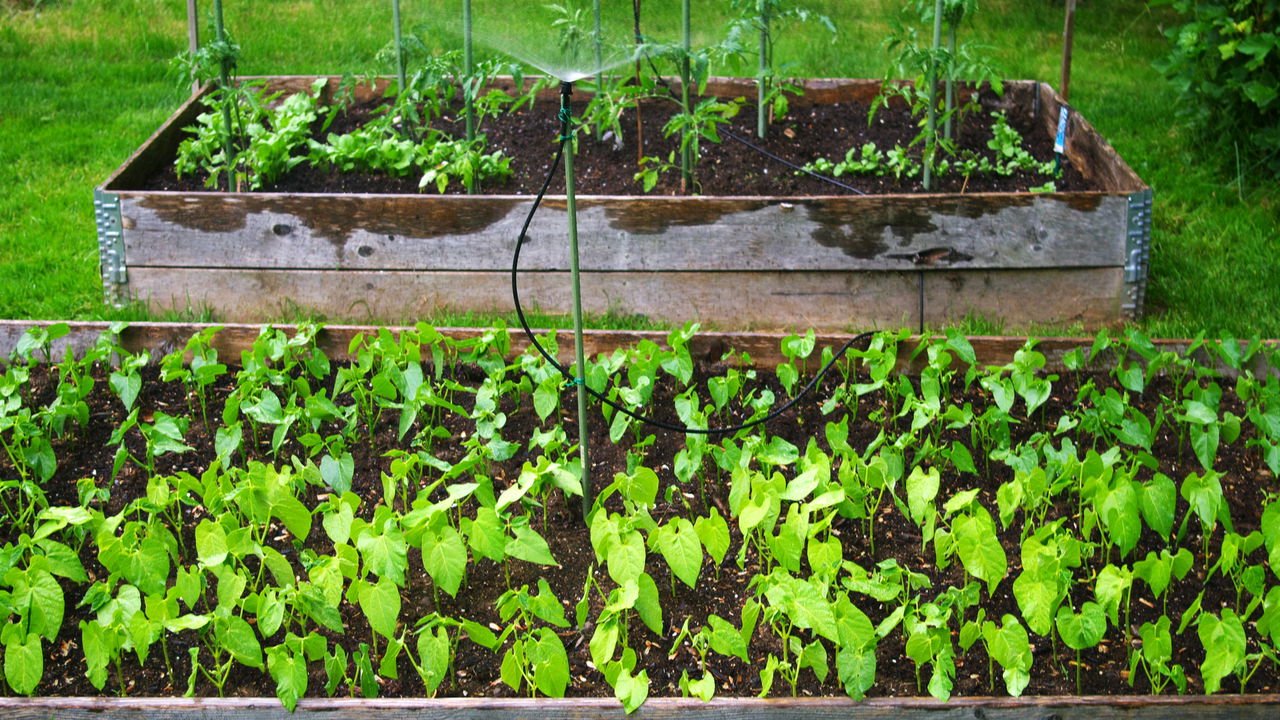 irrigacao gotejamento vs microirrigacao jardim