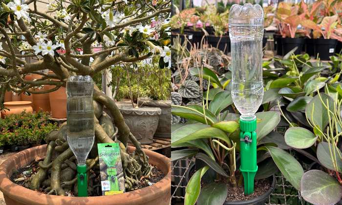 ideias criativas irrigacao jardim pequeno sustentavel