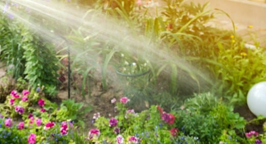 problemas comuns irrigacao jardim pequeno
