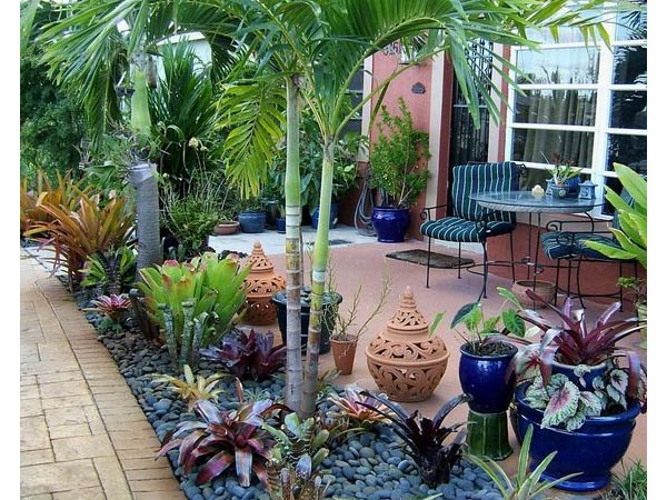 erros comuns ao montar jardim de pedras pequeno