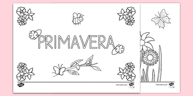 desenhos de borboletas para colorir primavera