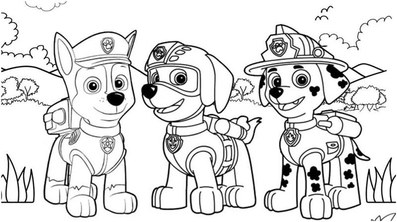 desenhos para colorir PDF