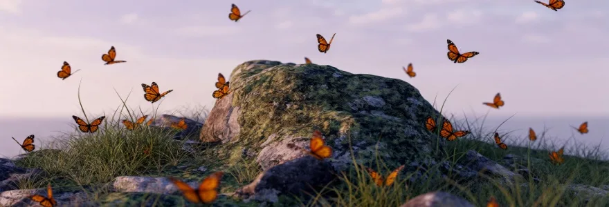 como se proteger do efeito borboleta nos investimentos