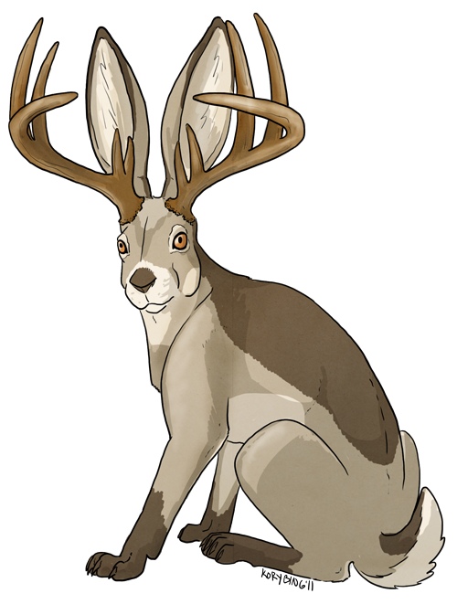 taxidermia curiosa
