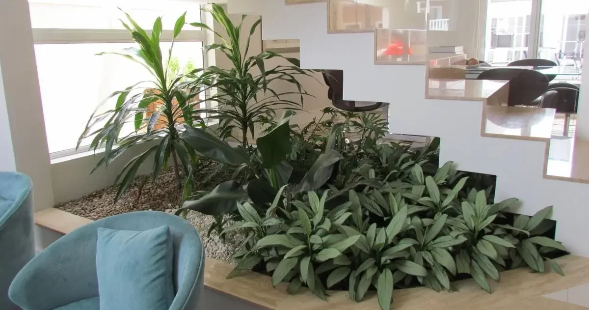 erros comuns ao fazer jardim embaixo da escada