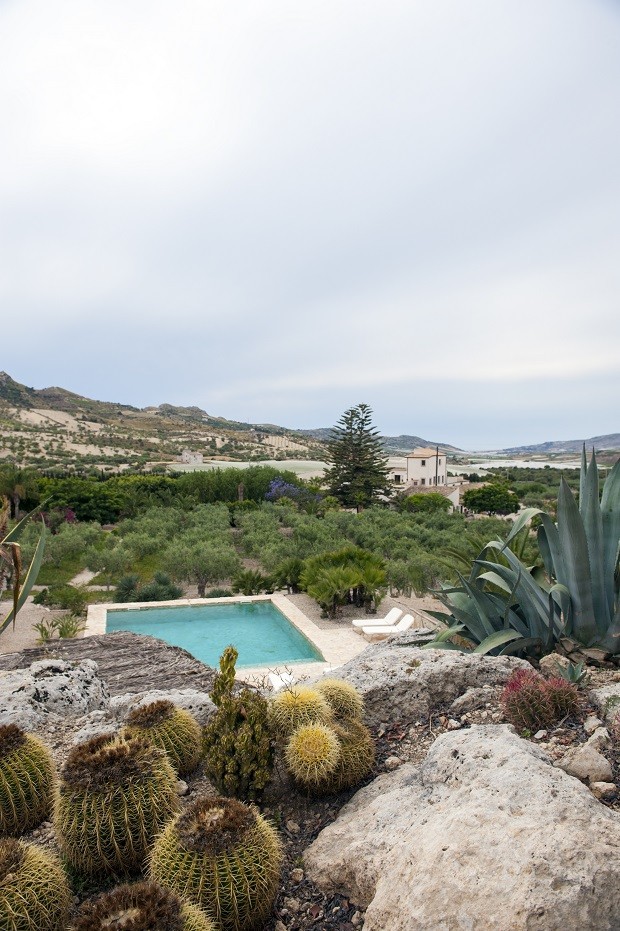 ideias de jardim de suculentas para iniciantes