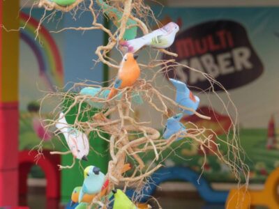 plantas seguras para jardim sensorial de bebês