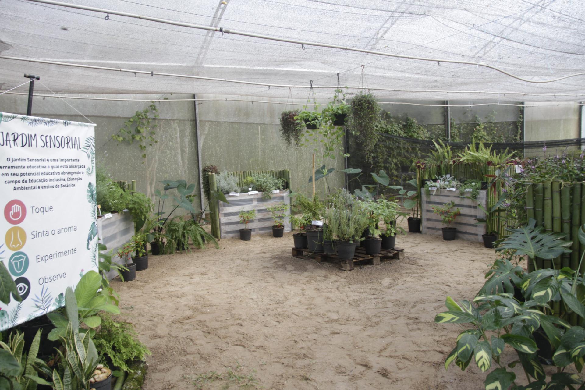 erros comuns ao montar jardim sensorial infantil