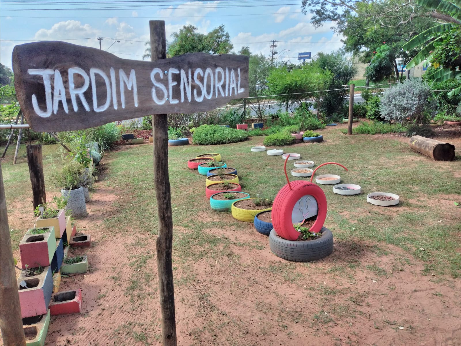 erros comuns ao montar jardim sensorial infantil