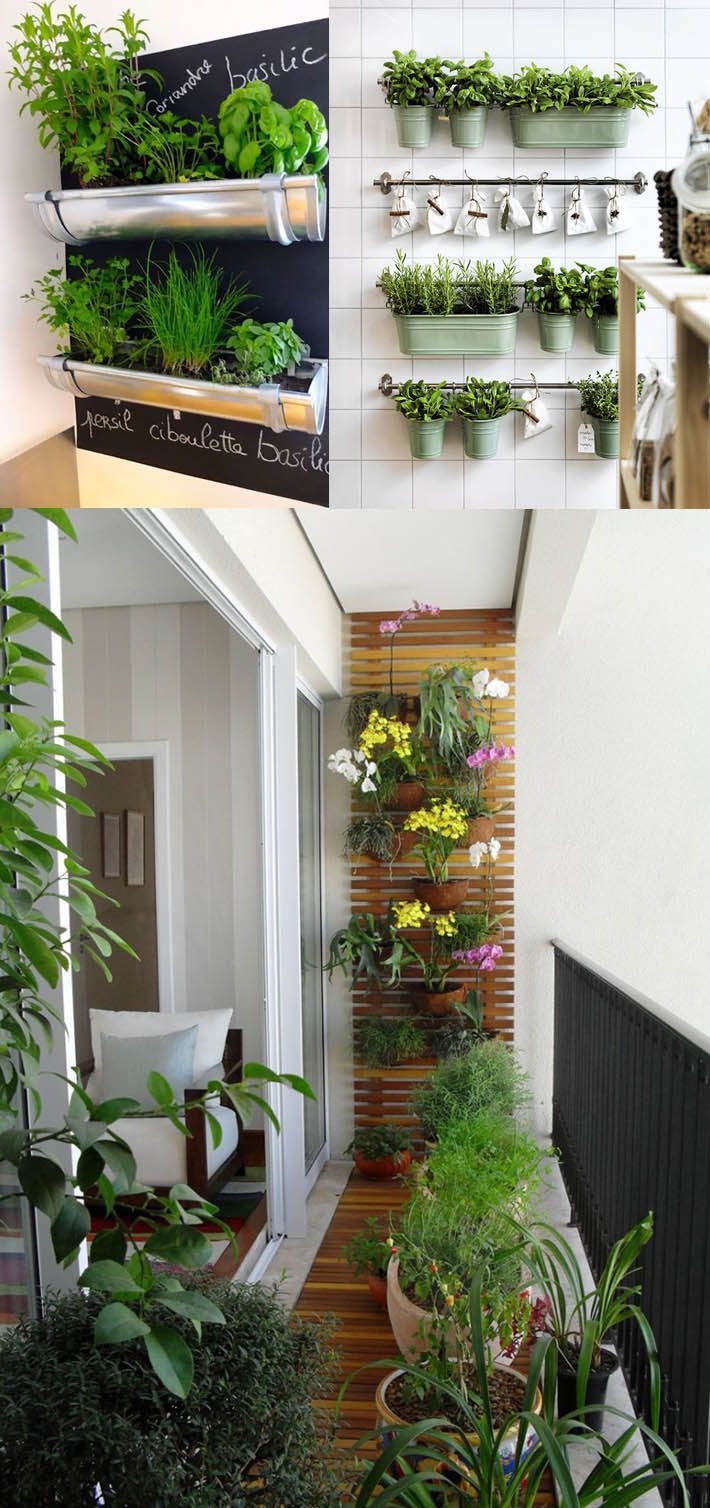 erros comuns ao montar jardim vertical em varanda pequena