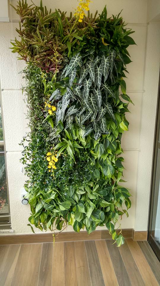 jardim vertical para varanda pequena