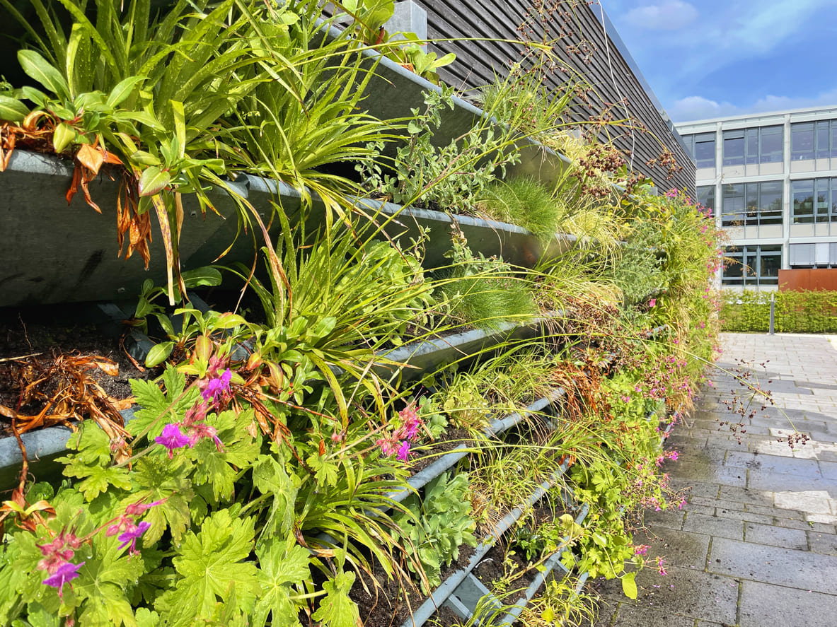 melhores estruturas para jardim vertical em varanda pequena com sol pleno