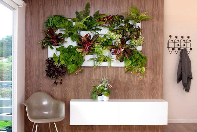 jardim vertical para varanda pequena com sol