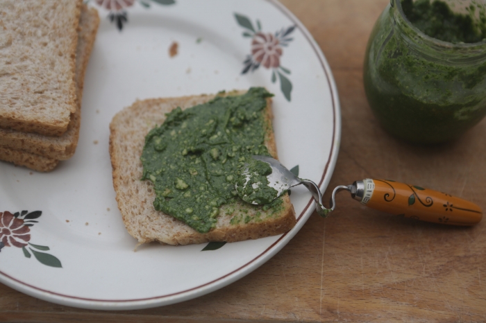 como fazer macerado de urtiga passo a passo