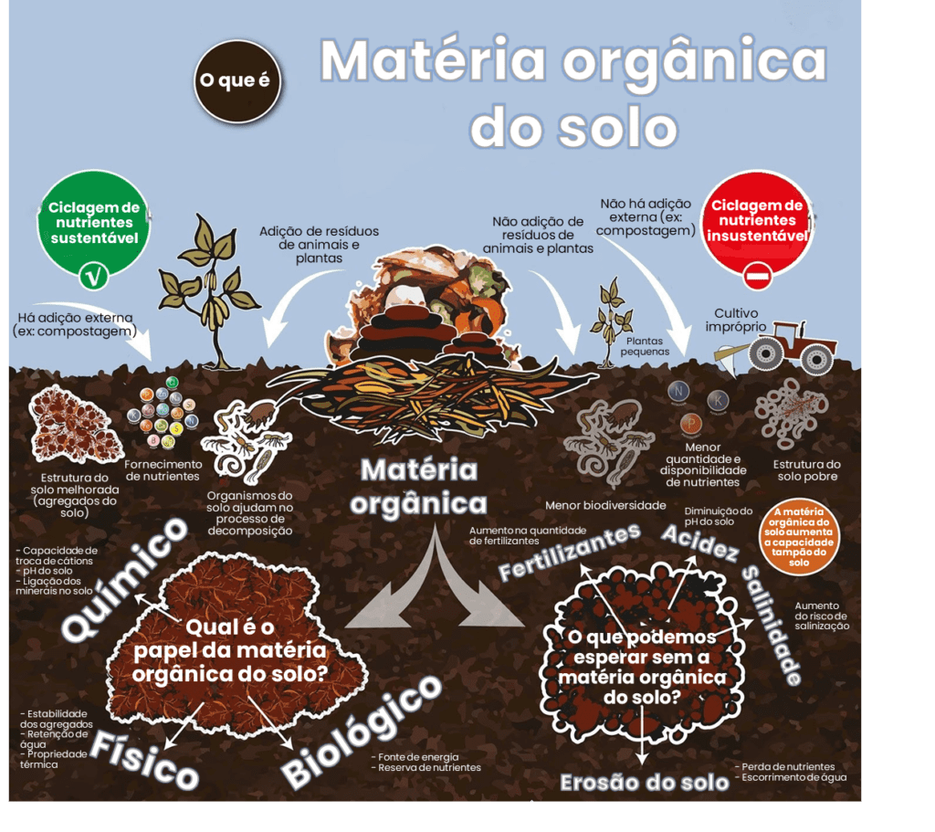 tipos de matéria orgânica para horta