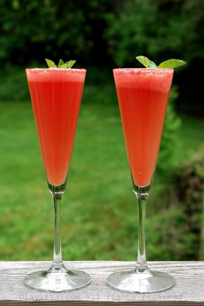 melancia cintilante melhores momentos