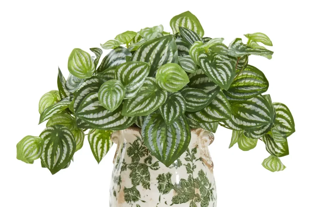 melancia cintilante vs soundtrack 1988