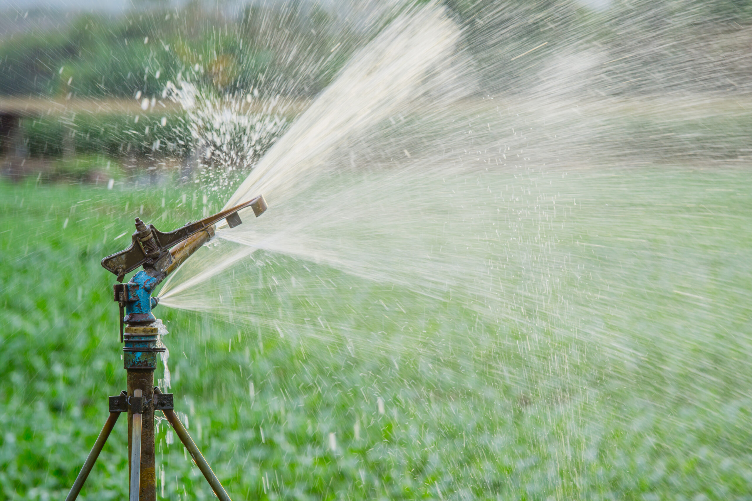 problemas comuns microaspersão solos arenosos