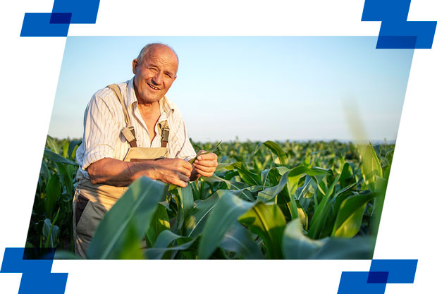 ideias de negócios lucrativos para produtor rural mei