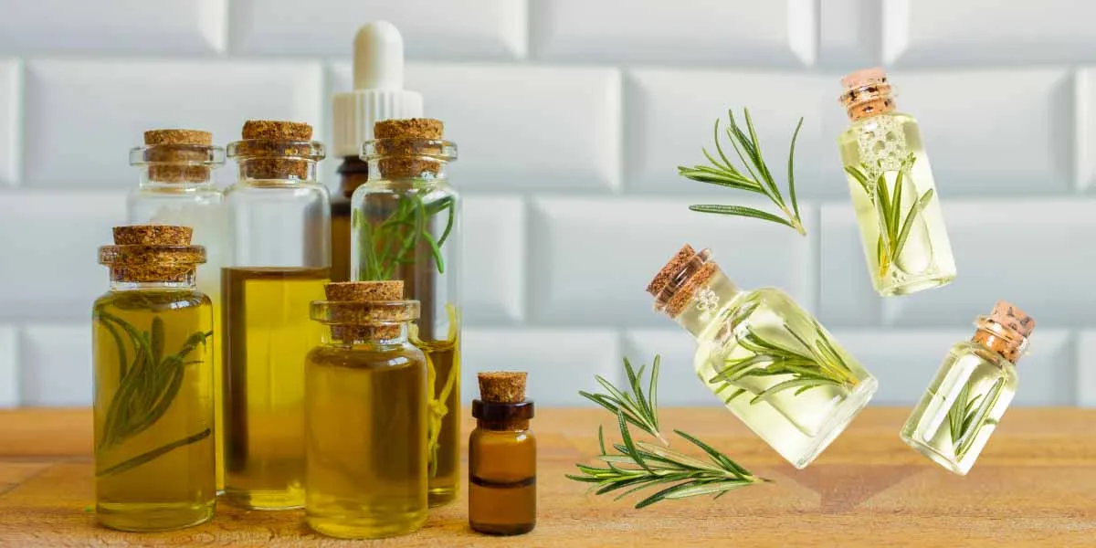 melhores óleos para pontas duplas