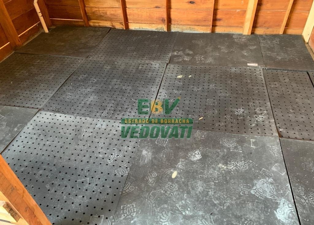 melhores pisos para baias de cavalos