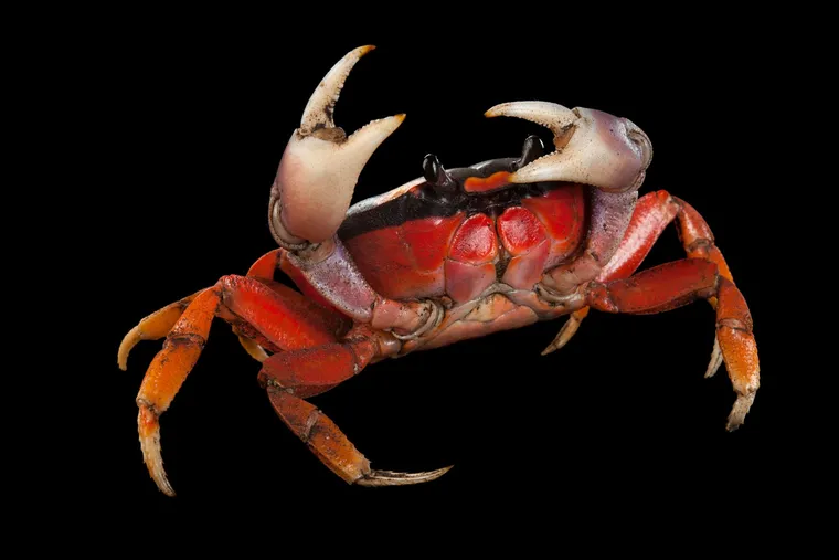 nomes assustadores para histórias de terror