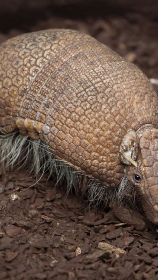 nomes assustadores populares