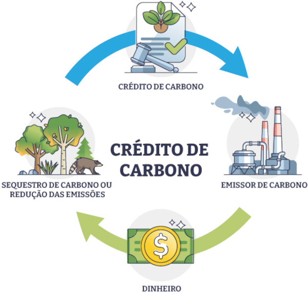 O que é crédito de carbono