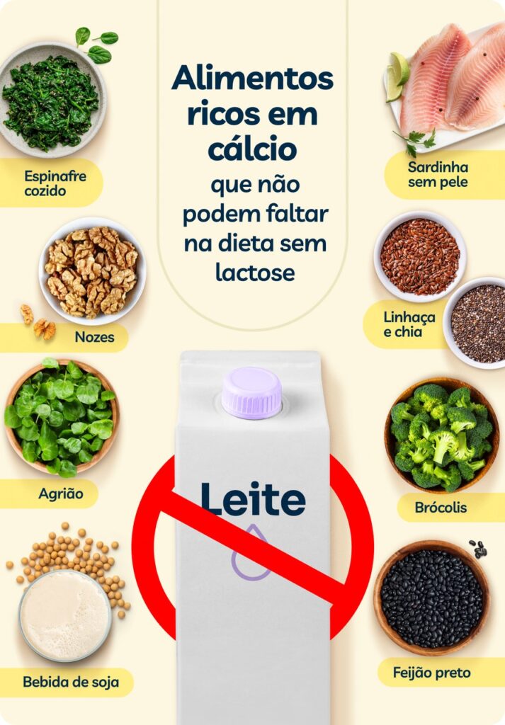 O que é lactose