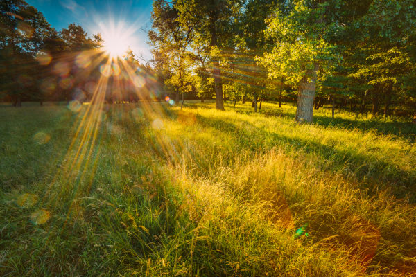 ideias criativas para usar luz natural em casa