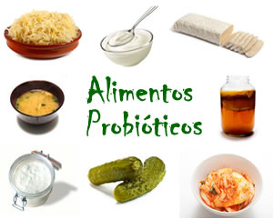 melhores alimentos probióticos para saúde intestinal