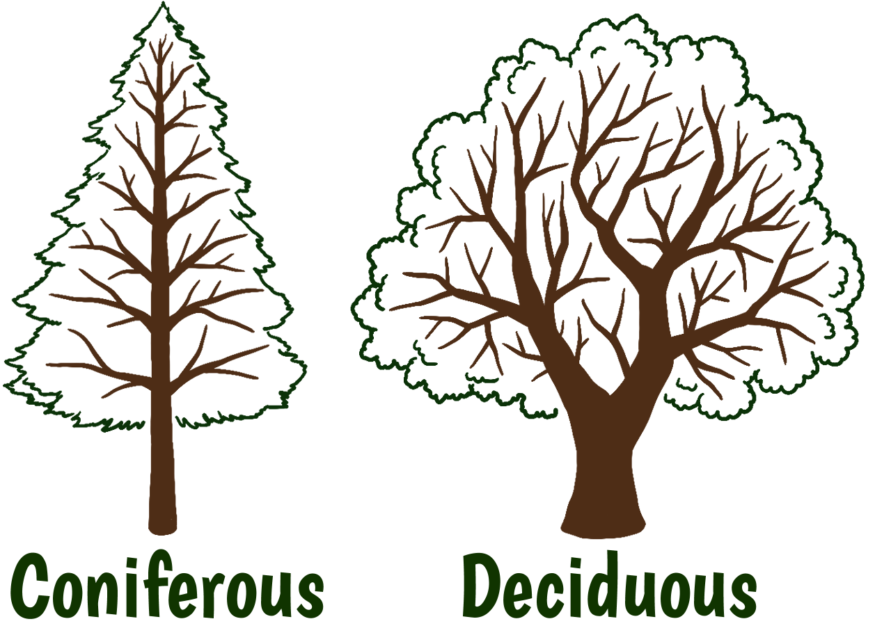 como usar autodraw para criar logos