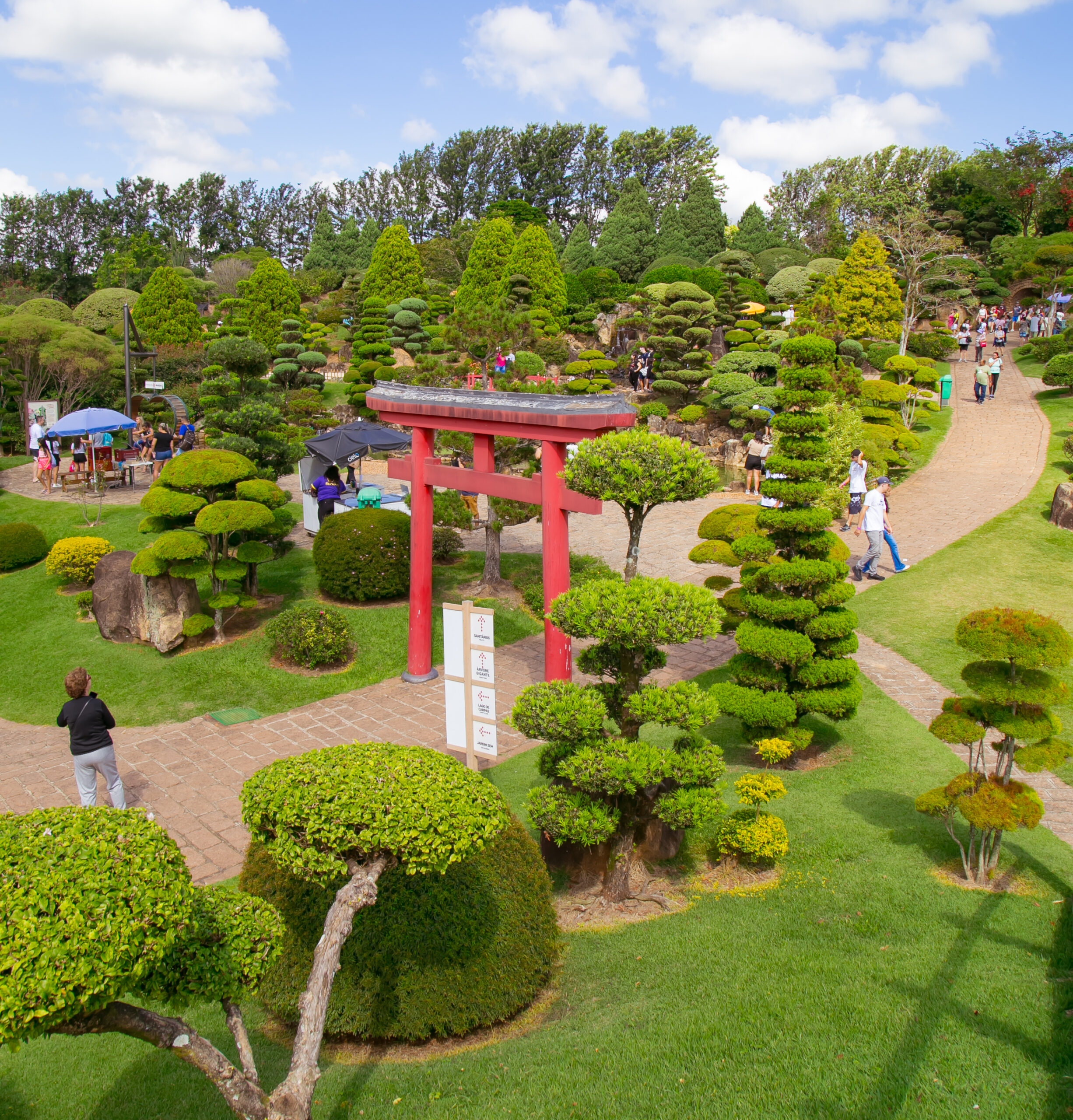 melhores atrações parque maeda para crianças