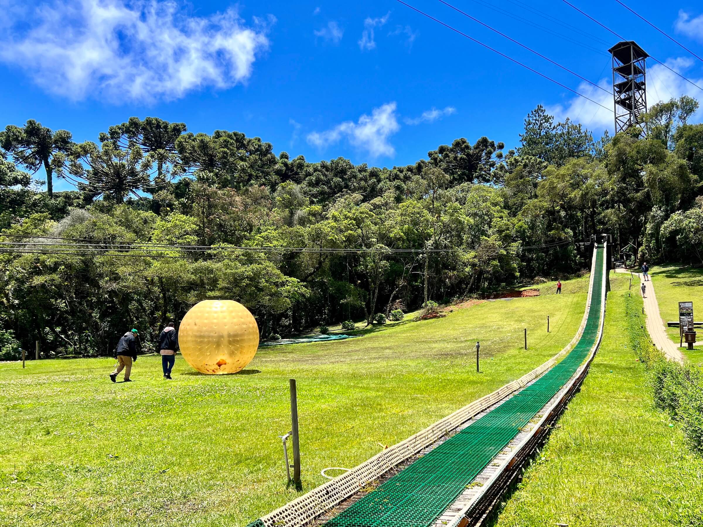 erros comuns ao planejar visita ao parque tarundu