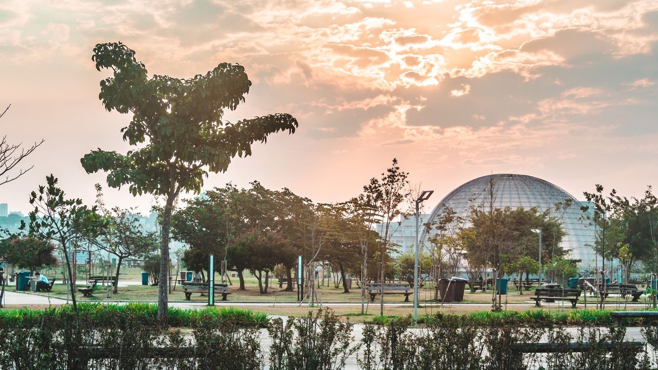 melhores atividades para fazer no parque villa lobos com crianças