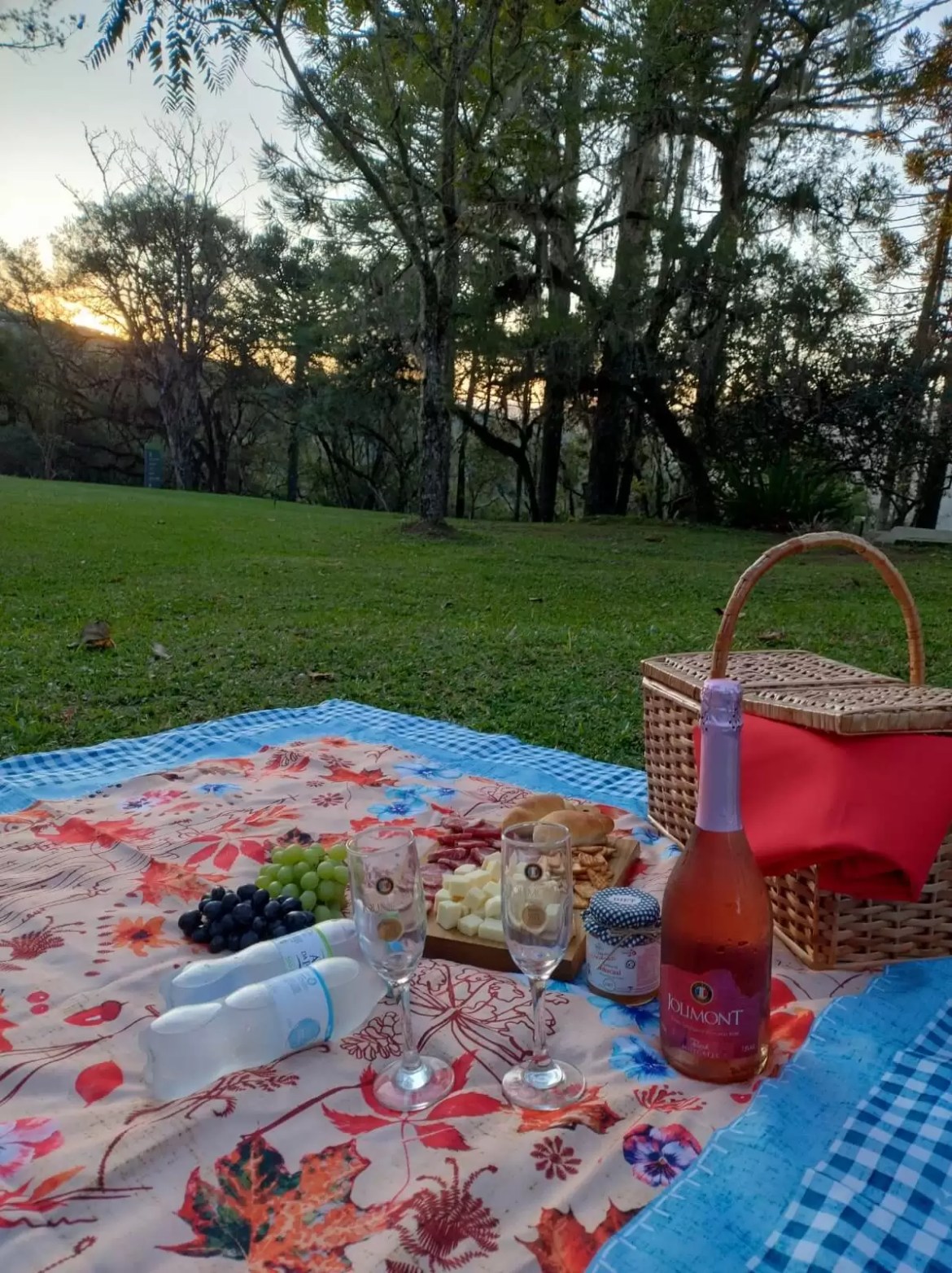 parques públicos perto de mim para um piquenique tranquilo