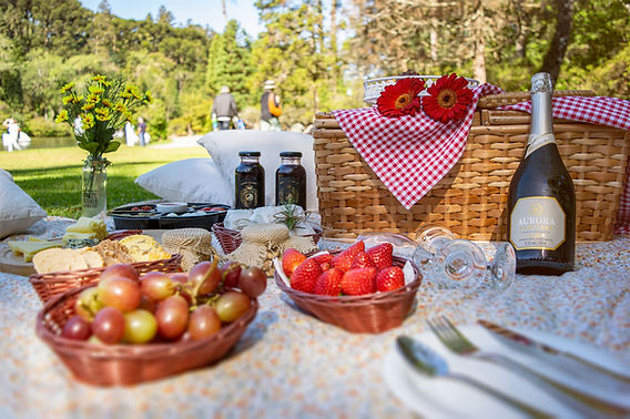 erros comuns ao escolher um parque para piquenique tranquilo