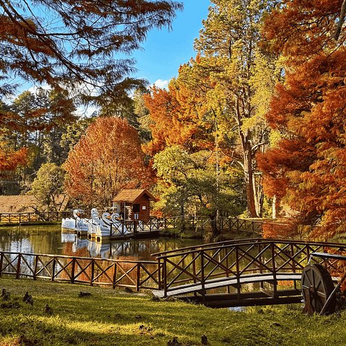 custo de um piquenique em parque público tranquilo