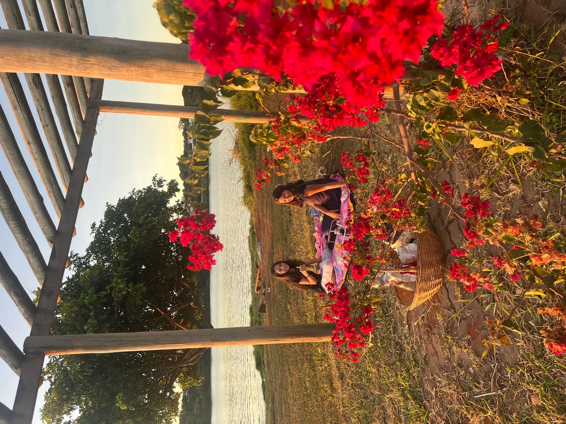 parque municipal alfredo volpi vs bosque da barra para piquenique