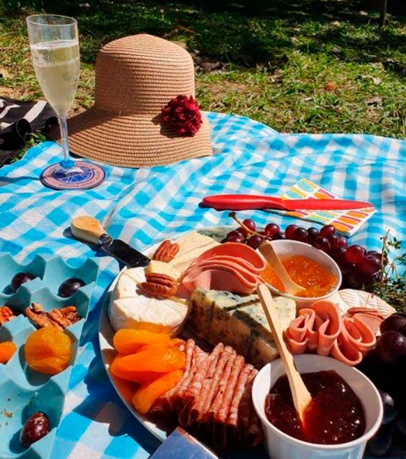 custo de um piquenique em parque público tranquilo
