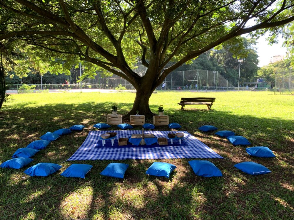 parque municipal alfredo volpi vs bosque da barra para piquenique