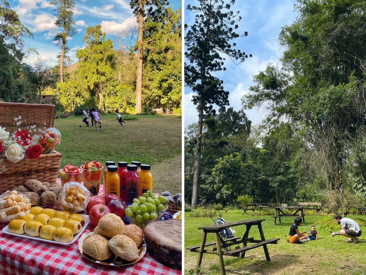 melhores parques públicos para piquenique tranquilo perto de mim