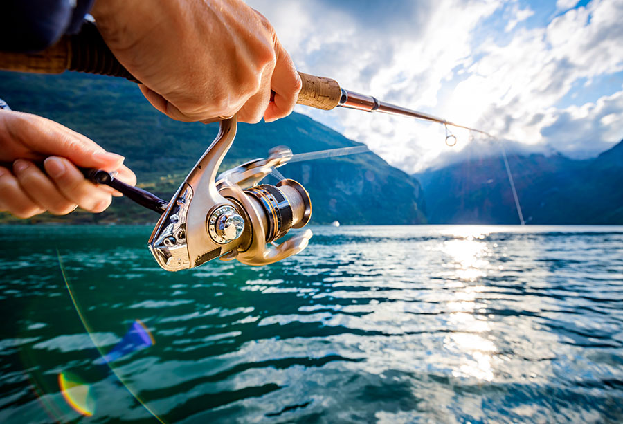 melhores equipamentos de pesca para iniciantes