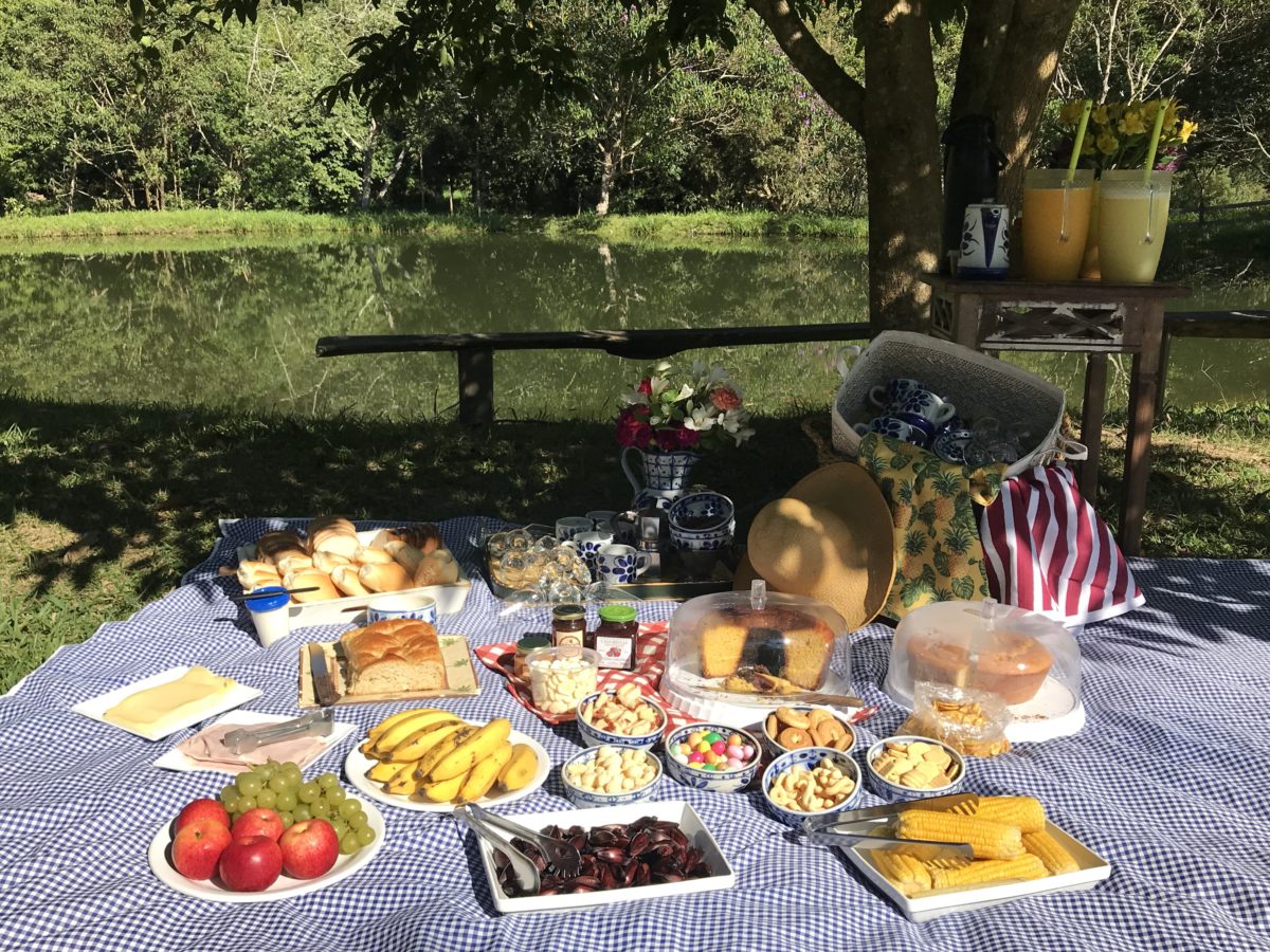 erros comuns ao planejar um piquenique