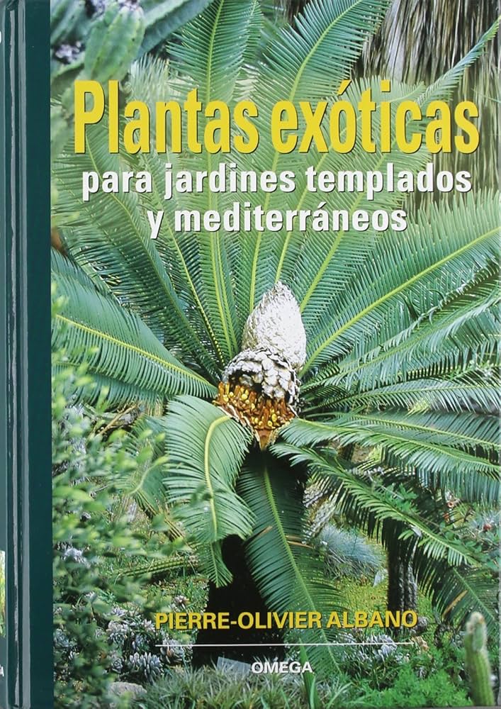 plantas de interior exóticas