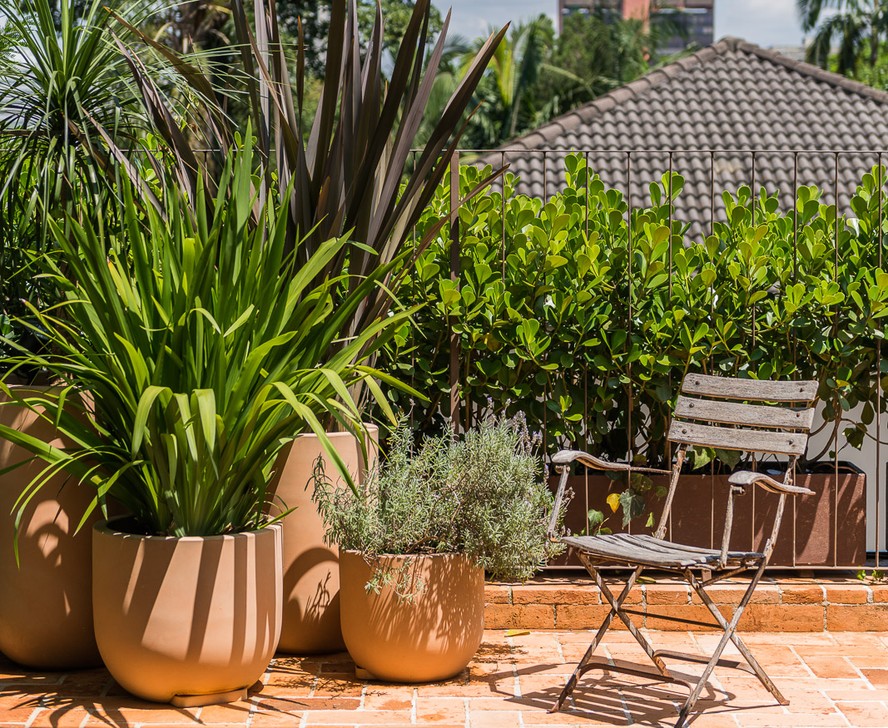 plantas grandes para varanda externa