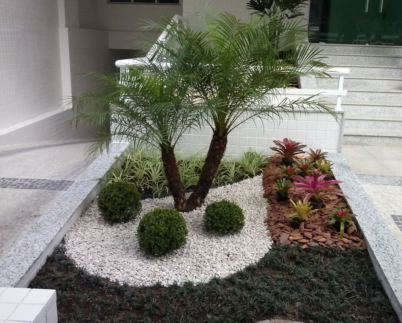 plantas ornamentais grandes para jardim